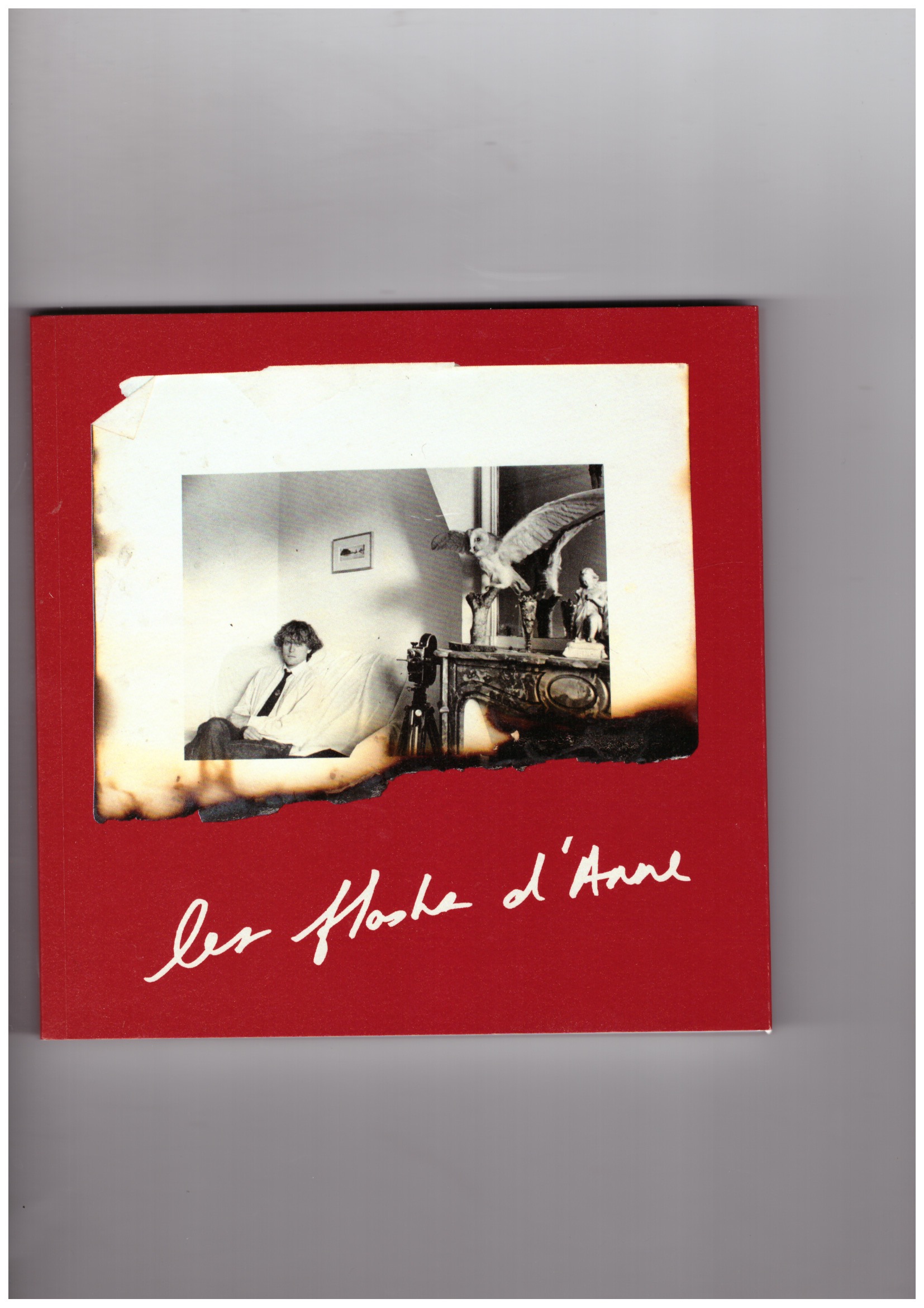 DAY, Anne; WEITZMAN, Jordan (ed.) - Les Flashs d’Anne